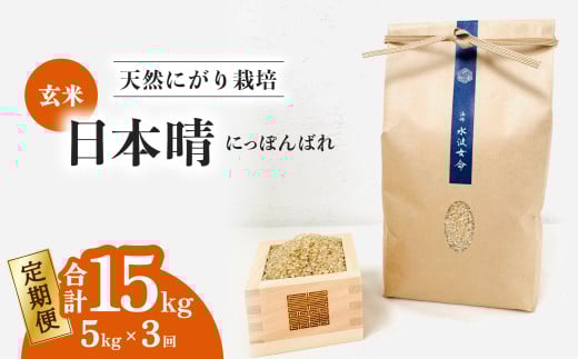 【定期便】日本晴 玄米 5kg×3回 3ヶ月連続  天然にがり栽培 にっぽんばれ 希少 品種 お寿司 ピラフ チャーハン