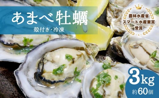 あまべ牡蠣 冷凍 3kg 牡蠣 シングルシード 生食用 殻付き かき カキ オイスター 生ガキ 生牡蠣 生がき 生かき