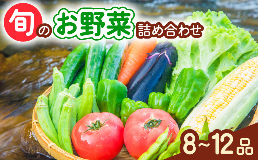 阿波の国海陽町 旬のお野菜詰め合わせセット 8~12品 野菜 徳島県 海陽町産 野菜セット 詰め合わせ 4-5名様以上 向け 季節の野菜 やさい 産地直送 新鮮 採れたて お試し 単品