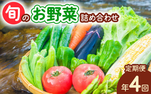 【定期便年4回】阿波の国海陽町 旬のお野菜詰め合わせセット 8~12品×4回 野菜 定期便 野菜定期便 年4回 徳島県 海陽町産 野菜セット 季節の野菜 詰め合わせ おまかせ