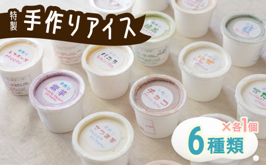 海陽町特製アイス ユニークな味6種類セット!  アイスクリーム 6種類 海陽町特製 自家製  詰め合わせ アイス バニラアイス 抹茶 セット 手作り 母の日