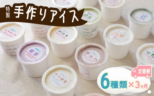 【定期便連続3か月】海陽町特製アイス ユニークな味6種類セット!  定期便 3か月 連続 アイスクリーム 6種類 海陽町特製 詰め合わせ アイス バニラアイス 抹茶 セット 手作り 母の日