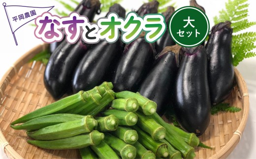 夏野菜 詰め合わせ 大セット なす おくら 野菜 茄子 ナス オクラ 産地直送 天敵栽培 【2026年7月以降順次発送】