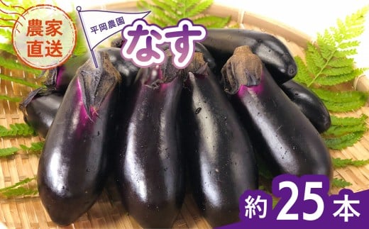なす 約25本 茄子 ナス 産地直送 天敵栽培 【2026年7月以降順次発送】