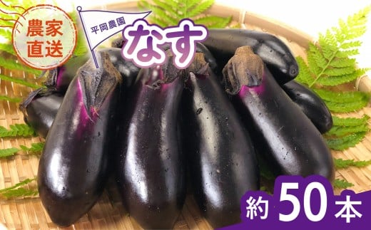 なす 約50本 茄子 ナス 産地直送 天敵栽培 【2026年7月以降順次発送】