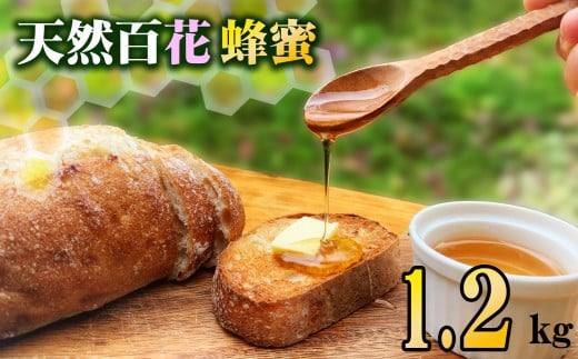 天然百花蜂蜜 1.2kg はちみつ 天然百花蜂蜜 1.2kg 蜂蜜 ハチミツ 国産 天然 百花