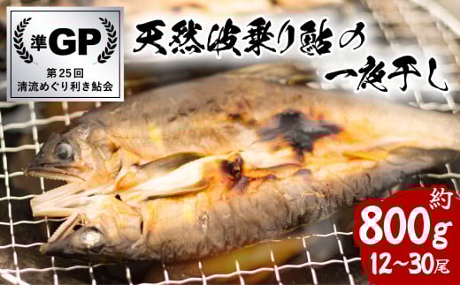 天然波乗り鮎の一夜干し 約800g 12~30尾 干物 一夜干し 鮎 天然 熟成 あゆ アユ 天然鮎 清流 海部川 川魚 簡単調理 冷凍