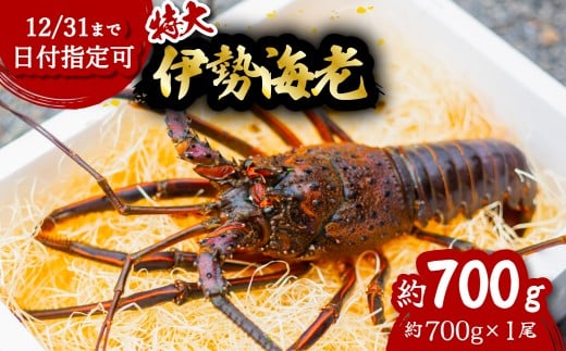 伊勢海老 特大 約700g 約700g×1尾 伊勢えび 伊勢エビ いせえび イセエビ 海老 えび エビ 海鮮 海産物 海の幸 おせち 高級 国産 海鮮 ギフト