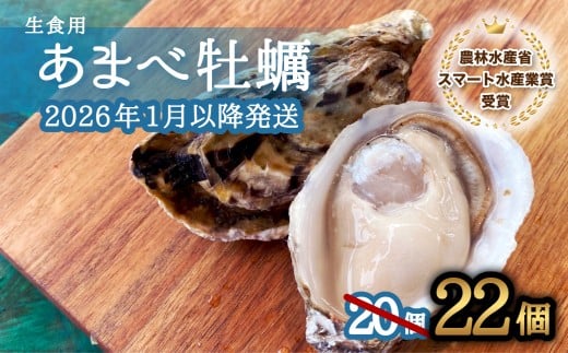 先行予約 あまべ牡蠣 22個 牡蠣 シングルシード 生食用 殻付き かき カキ オイスター 生ガキ 生牡蠣 生がき 生かき ギフト 貝 旨味  【2026年1月7日～発送】