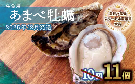 先行予約 あまべ牡蠣 11個 牡蠣 シングルシード 生食用 殻付き かき カキ オイスター 生ガキ 生牡蠣 生がき 生かき ギフト 貝 旨味 【2025年12月発送】