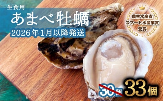 先行予約 あまべ牡蠣 33個 牡蠣 シングルシード 生食用 殻付き かき カキ オイスター 生ガキ 生牡蠣 生がき 生かき ギフト 貝 旨味   【2026年1月7日～発送】