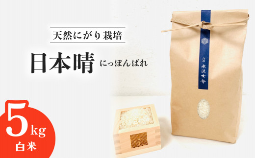 日本晴 白米 5kg 天然にがり栽培 にっぽんばれ 希少 品種 お寿司 ピラフ チャーハン