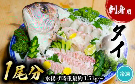 タイ 刺身用 1尾分 水揚げ時重量1.5kg以上 たい 鯛 小分け 養殖 冷凍