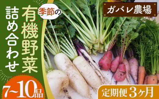 【有機野菜の定期便3ヶ月】ガバレ農場の季節の有機野菜詰め合わせセット ／ 有機JAS認定農場 採れたて 新鮮 詰合せ 埼玉県 No.527