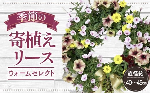 No.147 【季節の寄植えリース】ウォームセレクト＊花工房すなが＊