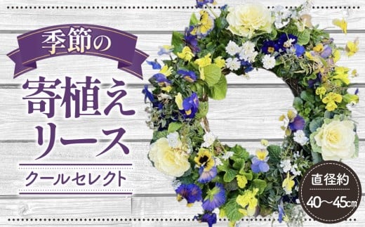 【季節の寄植えリース】クールセレクト＊花工房すなが＊ No.148