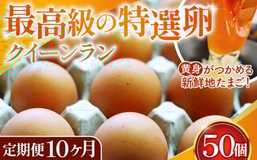 No.280 黄身がつかめる新鮮地たまごクイーンラン 赤玉50個入《定期便10ヶ月》