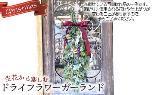 生花から楽しむドライフラワーガーランド【クリスマス】 No.482
