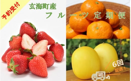 旬のフルーツ定期便（6回）
