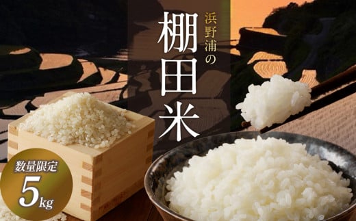 浜野浦の棚田米 5kg ／ 米 お米 精米 白米 新米 ご飯 棚田 産地直送 数量限定 佐賀県 玄海町 常温 送料無料