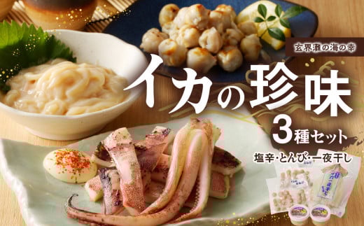 イカの珍味 3点セット ／ いか 烏賊 一夜干し 干物 塩辛 とんび 酒の肴 おつまみ 丸福水産 冷凍 国産 佐賀県 玄海町 送料無料
