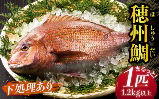 渡邊水産 穂州鯛（下処理あり）／ ブランド鯛 三枚おろし 内臓 鱗 処理 産地直送 まるごと 1尾 1匹 鮮魚 真鯛 マダイ 鯛 タイ 鯛しゃぶ 鯛茶漬け 鯛めし 刺身 塩焼き アラ 魚 魚介 海鮮 養殖 佐賀県 玄海町 冷蔵 送料無料