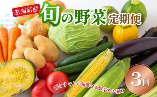 玄海町産 旬の野菜定期便 3か月