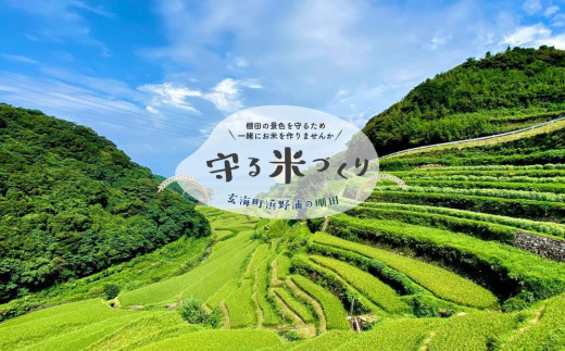 浜野浦の棚田 守る米づくり「かかし会員」プラン(b)稲穂コース