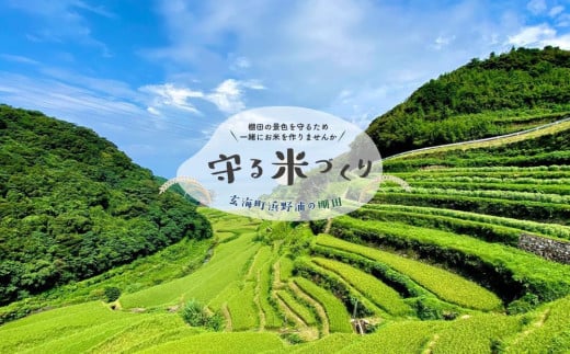 浜野浦の棚田 守る米づくり「守りびと」プラン