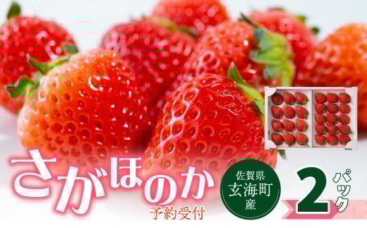 ★予約受付★佐賀県玄海町産「さがほのか」2026年1月～5月までに順次配送 ／ 送料無料 さがほのか 苺 いちご イチゴ 希少 果物 くだもの フルーツ デザート 旬 順次配送 予約受付