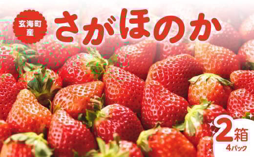 ★予約受付★平川いちご農園 佐賀県玄海町産「さがほのかDX」2026年1月～4月までに順次配送 ／ 送料無料 さがほのか 苺 いちご イチゴ 希少 果物 くだもの フルーツ デザート 旬 順次配送 予約受付