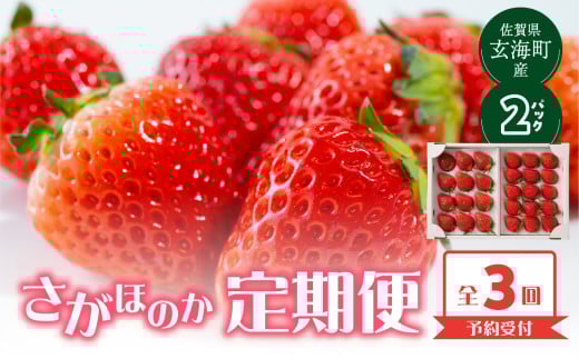 ★予約受付★杉山いちご農園 佐賀県玄海町産「さがほのか」毎月定期便 ／ 送料無料 さがほのか 苺 いちご イチゴ 希少 果物 くだもの フルーツ デザート 旬 順次配送 予約受付
