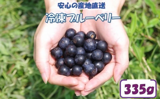 ZS-528 【先行予約】【7月以降順次発送】冷凍ブルーベリー 335g