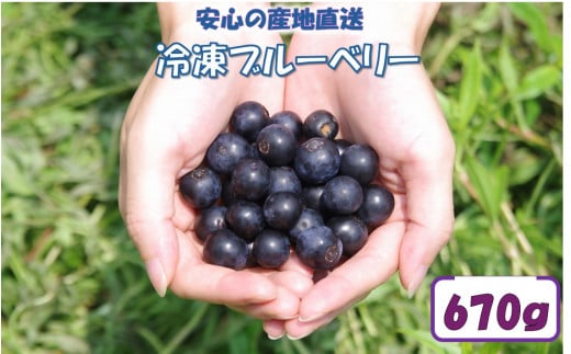 ZS-764 【先行予約】【7月以降順次発送】冷凍ブルーベリー 670g