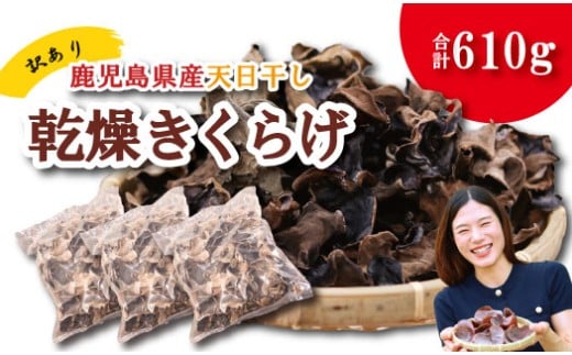 \"訳アリ”/鹿児島県産天日干し乾燥きくらげ 合計610g 国産 訳あり 訳アリ 業務用 乾燥きくらげ 野菜 きのこ 健康 食物繊維 低カロリー エムズ わか農園 サラダ みそ汁 スープ 炒め物 煮物 和え物 鹿児島県 薩摩川内市 送料無料 BS-096