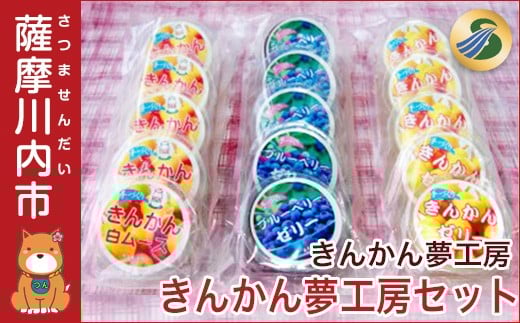 AS-113 きんかん夢工房セット