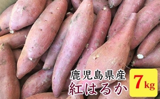 ZS-926 【2025年内発送】【訳あり】【農家直送】ママたちの想いをギュッ!薩摩で育てたさつまいも(紅はるか)洗い 規格外 7kg