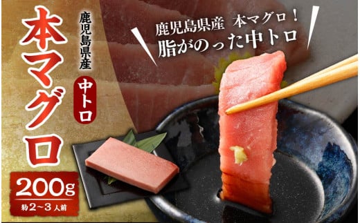 AS-401 鹿児島県産 本マグロ(黒マグロの中トロ)200g(約2~3人前)