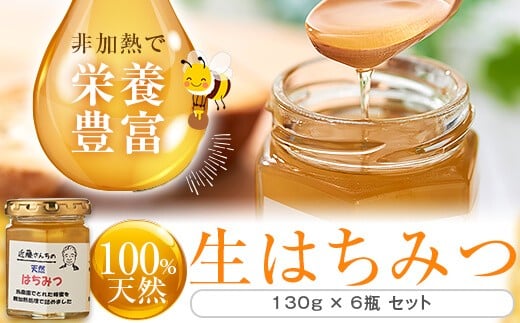 CS-008 【先行予約】天然はちみつ 780g(130g×6個)【6月以降順次発送】 (H-21)
