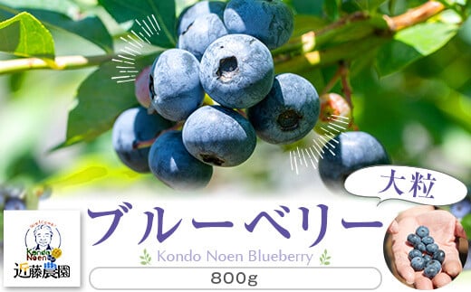 【数量限定】冷凍ブルーベリー 800g(100g×8) (B-20) AS-588