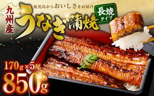 九州産 無頭うなぎ蒲焼 約170g×5尾 計850g 国産 鹿児島 うなぎ 蒲焼 個包装 小分け こだわり 秘伝 タレ DSR-102