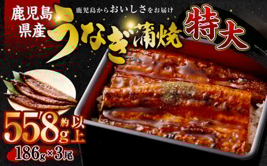 【通年受付】 数量限定! 鹿児島県産 特大サイズうなぎ蒲焼 3尾 合計558g以上 鹿児島 うなぎ 蒲焼 特大サイズ 個包装 小分け BSR-325