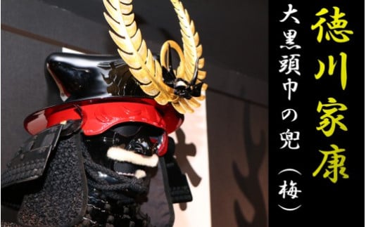 RS-801 徳川家康大黒頭巾の兜(梅)