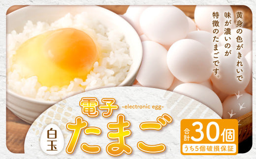 ZS-534 電子たまご(白玉) 30個 卵 たまご 白玉
