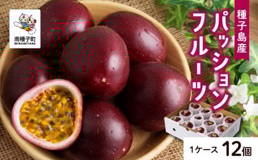 《令和7年度》 種子島産パッションフルーツ 1ケース ( 12個入り ) パッションフルーツ 果物 フルーツ 食品 グルメ お取り寄せ お中元 人気 おすすめ 返礼品 南種子町 鹿児島 かごしま 【有限会社新栄物産】