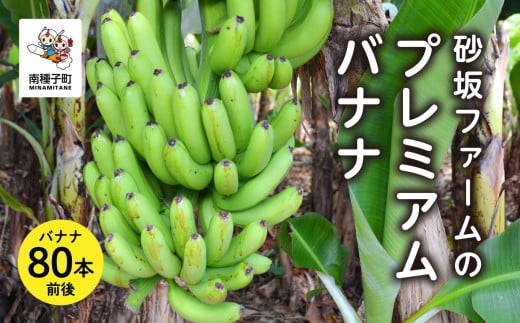 砂坂ファームのプレミアムバナナ (80本前後)