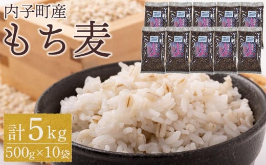 内子町産 もち麦(5kg)【食品 加工食品 人気 おすすめ 送料無料】