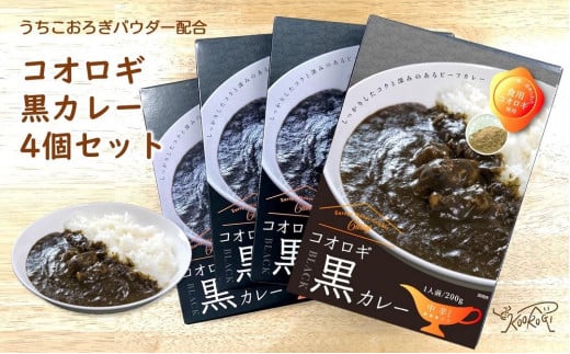 愛媛県内子町産イエコオロギパウダー ビーフカレー スパイスカレー タンパク質 コオロギ黒カレー4個セット【北海道・沖縄・離島配送不可】【食品 加工食品 人気 おすすめ 送料無料】