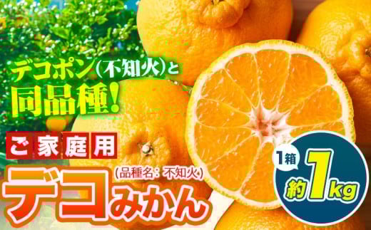 デコポン ( 不知火 )と同品種!デコみかん 熊本県産 (津奈木町産含む) 訳あり 約1kg前後 柑橘《2月中旬-4月末頃出荷》 みかん フルーツ 不知火 先行予約 訳あり 訳アリ ご家庭用 でこみかん 果物 予約受付