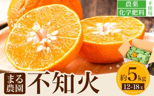 先行予約 不知火 約5kg 12-18玉入り まる農園《2025年11月中旬-2026年1月中旬頃出荷》熊本県 津奈木町 青果物 デコポン みかん しらぬい 果物 フルーツ